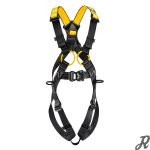 هارنس نیوتن پتزل