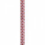 طناب نیمه استاتیک اکسس یونیکور بئال 11mm - Image 4