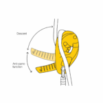 ابزار حمایت و فرود آی دی اس پتزل - Image 4